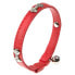 Фото #2 товара FERPLAST Joy 12 mm 31 cm Cat Collar