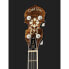 Фото #6 товара Gold Tone IT-250-F Irish Tenor Banjo w/C