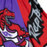 MITCHELL & NESS NBA BIG FACE FASHION SHORTS 5.0 TORONTO RAPTORS