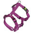 KERBL Miami harness