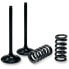 PROX 28.SES6327-1 Engine Valve&Springs