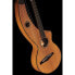 Фото #10 товара Timberline Guitars T20HGpc-e Harp Guitar