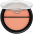 Фото #1 товара Gesichtsrouge Duo - TopFace Instyle Twin Blush On 003