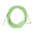 Фото #1 товара Fame Authentic Instrument Cable Green 6 m