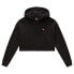 Фото #1 товара DICKIES Oakport Cropped Hoodie