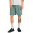 Фото #1 товара ELEMENT Cornell 3.0 shorts