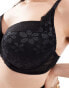 Фото #2 товара Ivory Rose Curve Roma C-G lace and spot mesh padded t shirt bra in black