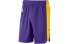 Фото #1 товара Nike NBA 洛杉矶湖人队短裤 男款 紫色 / Брюки баскетбольные Nike NBA AJ5078-504