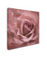 Cora Niele 'Misty Rose Pink Rose' Canvas Art - 14" x 14" x 2"