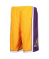 Фото #4 товара Шорты Mitchell & Ness LA Lakers 2009 Hardwood Classics