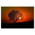 Фото #1 товара Leinwandbild Red Sunset