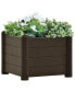 Фото #2 товара Garden Raised Bed PP Mocha 16.9"x16.9"x13.8"