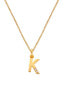 Фото #1 товара Hot Diamonds K Jac Jossa Soul Gold Plated Necklace DP949 (Chain, Pendant)