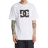 ფოტო #1 პროდუქტის DC SHOES DC Star short sleeve T-shirt