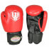 Фото #3 товара MASTERS boxing gloves - RPU-2A 01152-0302