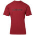 Фото #3 товара BERGHAUS Organic Big Colour Logo short sleeve T-shirt