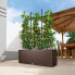 Self-watering planter Lechuza TRIO Cottage Black polypropylene 100 x 32,5 x 34,5 cm