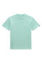 MINI SCRIPT TEE-B Erkek T-Shirt VN0A7Y3SPRN1 Yeşil-M