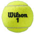 Фото #3 товара WILSON Roland Garros Clay Tennis Balls