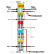 Фото #3 товара WAGO 750-404/000-001 - Digital output module - 2 outputs - Grey - DIN 35 × 15 - 32 bit - 1.488 MJ