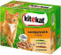 Фото #1 товара Влажный корм для кошек Kitekat, кусочки, 12 х 100 г