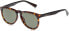 Фото #1 товара Очки Diesel Adult DL0272 Brown Sunglasses