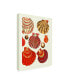 Фото #2 товара Fab Funky Red and Cream Clam Shells Canvas Art - 36.5" x 48"