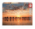 Puzzle Sunset In Beach Cable 1000 Teile