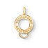 ფოტო #1 პროდუქტის THOMAS SABO X0247-413-39 Charm