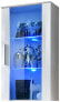 Vitrine NAO II mit LED-Beleuchtung