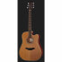 Фото #2 товара Takamine GD20CE-N