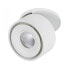 PAULMANN Spircle - Surfaced lighting spot - 1 bulb(s) - 8 W - 3000 K - 530 lm - White
