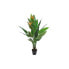 Фото #1 товара Декоративное растение DKD Home Decor PVC Пластик 100 x 100 x 145 cm