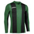 ფოტო #1 პროდუქტის JOMA Pisa V long sleeve T-shirt