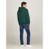TOMMY HILFIGER Monotype Embro hoodie