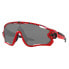 OAKLEY Jawbreaker Red Tiger Prizm Sunglasses