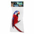 Parrot Multicolour