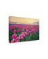 Фото #2 товара Alan Majchrowicz Skagit Valley Tulips I Canvas Art - 20" x 25"