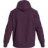 Фото #2 товара CALVIN KLEIN K10K110606 Hoodie