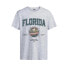 ფოტო #2 პროდუქტის JACK & JONES Bradley Usstate short sleeve T-shirt