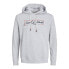 Фото #1 товара JACK & JONES 12254870 Zuri hoodie