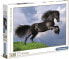 Фото #1 товара Clementoni Puzzle 500 elementów Fresian Black Horse