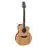 Фото #1 товара Takamine GN20CE NS2