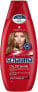 Фото #1 товара schwarzkopf Schauma Color Shine Shampoo Придающий блеск и укрепляющий цвет шампунь для окрашенных волос 400 мл