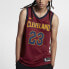 Фото #3 товара Майка баскетбольная Nike NBA Icon Edition SW 23 Кливленд Кавальерс от James 23 мужская队 красный