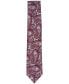 Фото #2 товара Men's Moss Paisley Tie