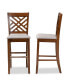 Jason Modern and Contemporary Fabric Upholstered 2 Piece Bar Stool Set