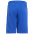 Фото #2 товара ADIDAS ORIGINALS Shorts