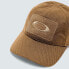 Фото #3 товара OAKLEY APPAREL Si Cap