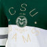 NCAA Colorado State Rams Women's Long Sleeve Color Block T-Shirt - M
